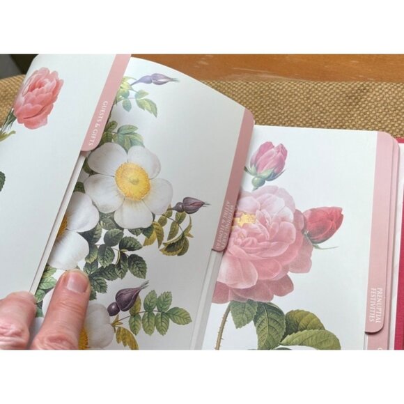 Wedding Planner Book Spiral Botanical Floral Blank 7 Tab 1999 Galison Publishing - Picture 5 of 10